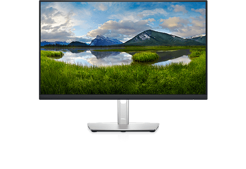 Écran Dell P2422H 24 pouces professionnel